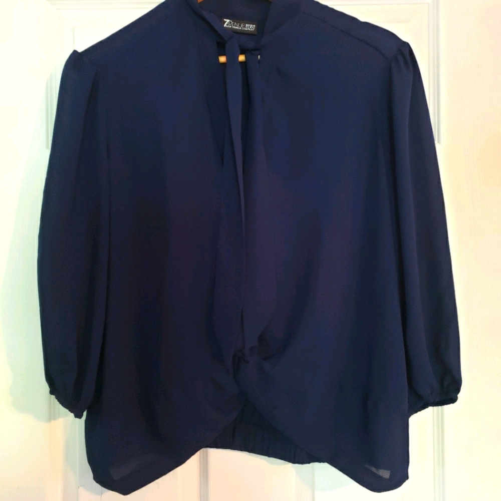 Blue cropped blouse